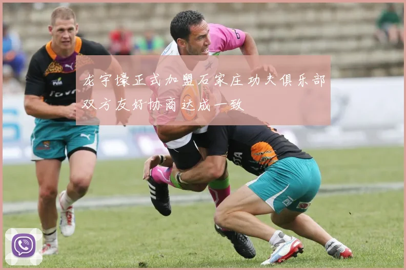 龙宇壕正式加盟石家庄功夫俱乐部双方友好协商达成一致