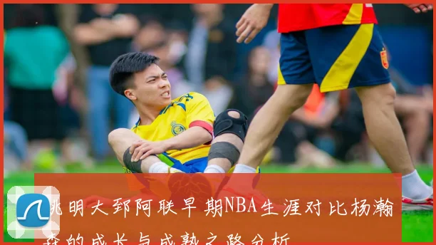 姚明大郅阿联早期NBA生涯对比杨瀚森的成长与成熟之路分析