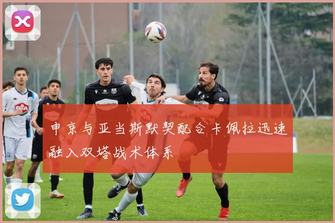 申京与亚当斯默契配合卡佩拉迅速融入双塔战术体系
