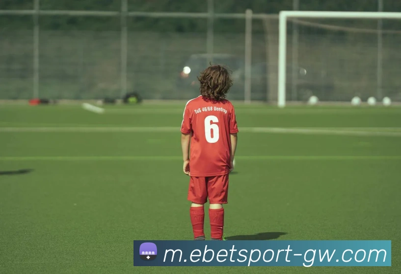 易倍体育服务体系